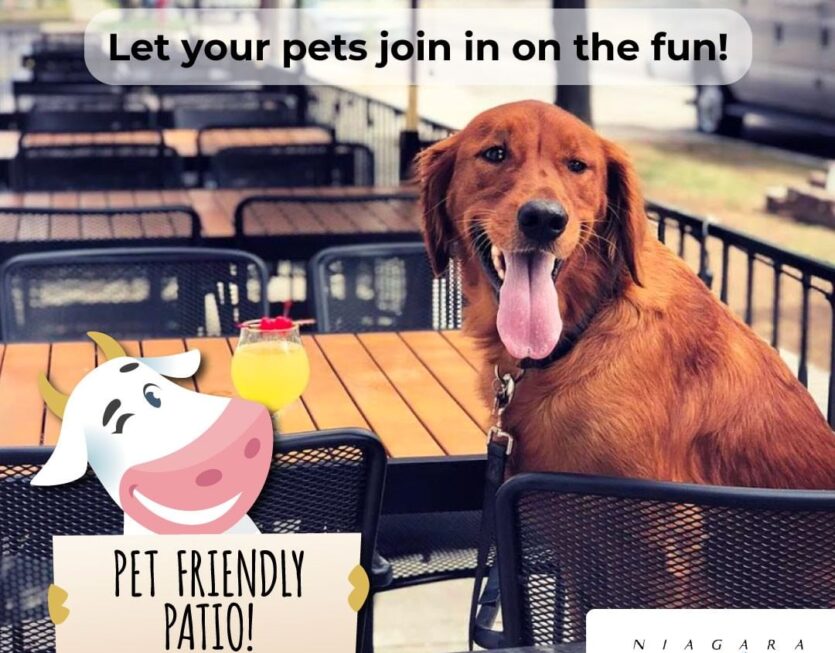 cask and cow - Serving delicious entrees, savory desserts, and refreshing cocktails to beat the heat. Come by with your family & friends to give some of our new options a try!