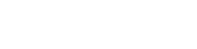 "Next.js logo representing scalable web development and digital transformation solutions