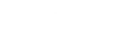 Python logo representing powerful programming language for digital transformation solutions